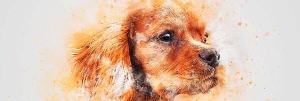 DOUDOU